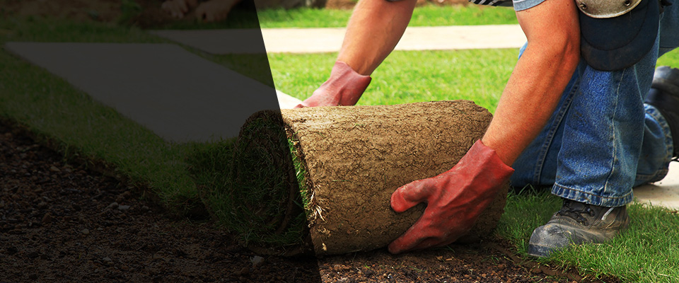 Lincoln City Landscapers